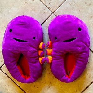 Kidney Slippers by I Heart Guts